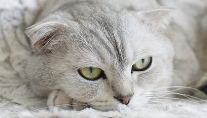 鹤壁伴游,定制QQ:3494206190微信:act1322